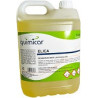DESINCRUSTANTE Auto 5L Elica