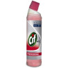 DESINCRUSTANTE Wc 750ml x 6u Cif
