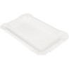 BANDEJA Carton 13 x 20 250u