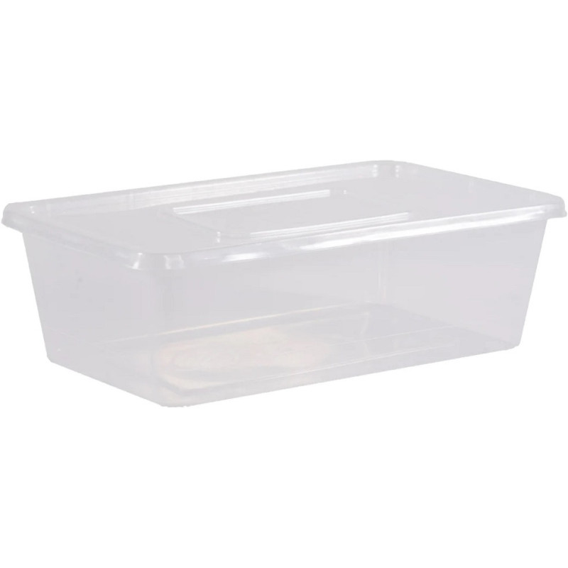 ENVASE Plast Duro 2000cc 30u x 6