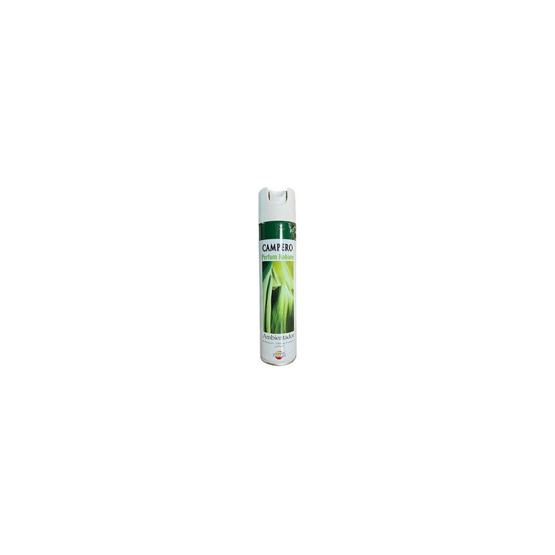 AMBIENT Aer. 300ml x 12u Rabanne