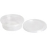 TARRINA Plast 250cc 50u x 10 Tapa