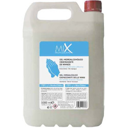 GEL Mano Hidroal. 5L x 2u Mix Professional