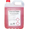 FREGASUELO Floral 5L eko